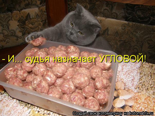 Котоматрица: - И... судья назначает УГЛОВОЙ!