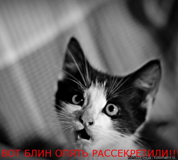 Котоматрица: ВОТ БЛИН ОПЯТЬ РАССЕКРЕТИЛИ!!!!!!!