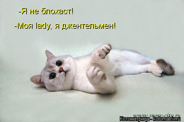 Котоматрица: -Моя lady, я джентельмен! -Я не блохаст!