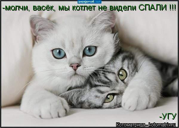 -молчи, васёк, мы котлет не видели СПАЛИ !!! -УГУ... Котоматрица: -молчи, васёк, мы котлет не видели СПАЛИ !!! -УГУ