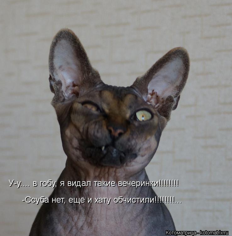 Котоматрица: У-у.... в гобу, я видал такие вечеринки!!!!!!!!       -Ссуба нет, ещё и хату обчистили!!!!!!!!...