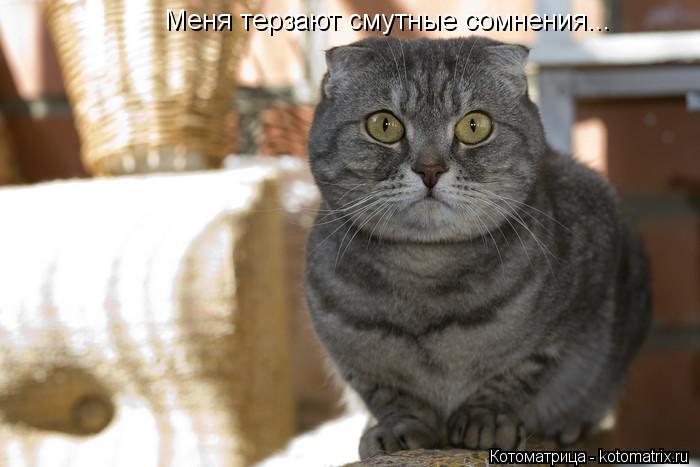 Меня терзают смутные сомнения...... Котоматрица: Меня терзают смутные сомнения...