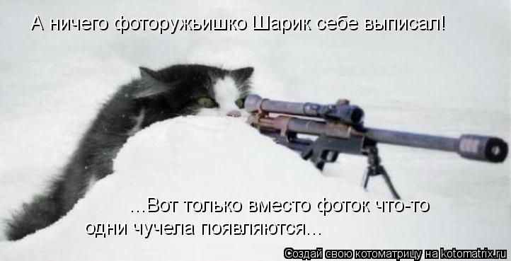 Котоматрица: А ничего фоторужьишко Шарик себе выписал! ...Вот только вместо фоток что-то  одни чучела появляются...