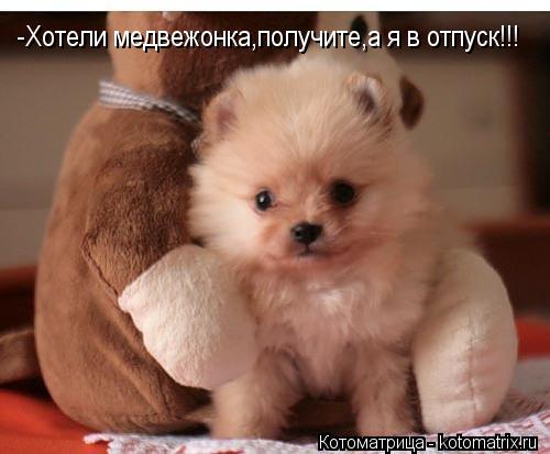 Котоматрица: -Хотели медвежонка,получите,а я в отпуск!!!