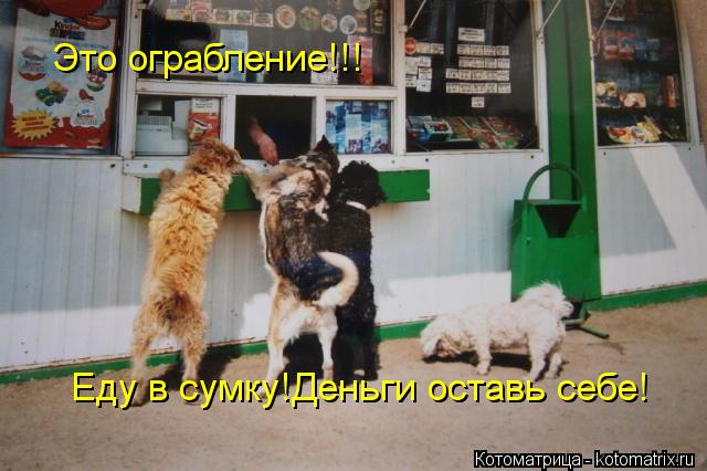 Котоматрица: Это ограбление!!! Еду в сумку!Деньги оставь себе!