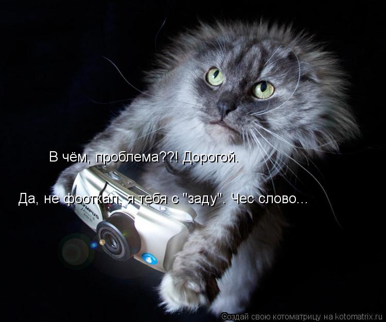 Котоматрица: В чём, проблема??! Дорогой.  Да, не фооткал, я тебя с "заду". Чес слово...