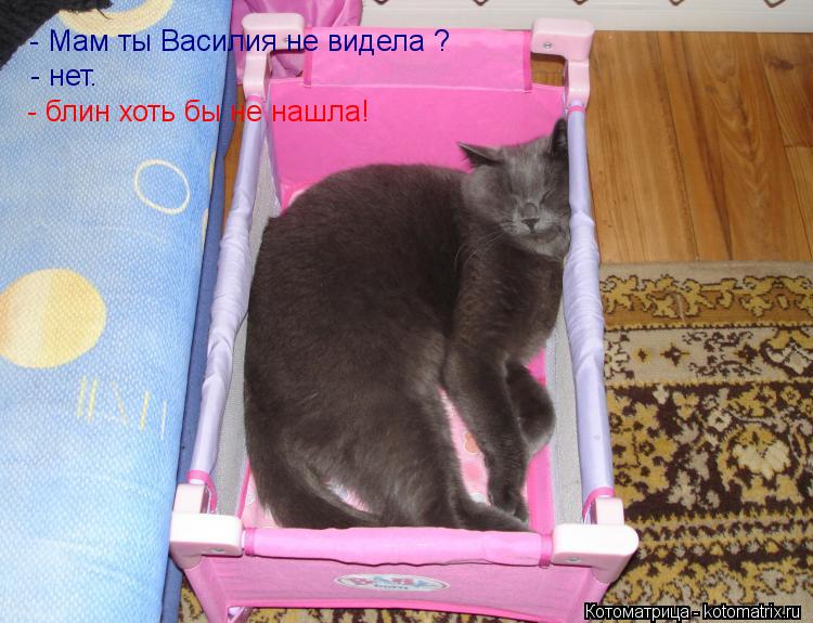 - Мам ты Василия не видела ? - нет. - блин хоть бы не нашла!... Котоматрица: - Мам ты Василия не видела ? - нет. - блин хоть бы не нашла!