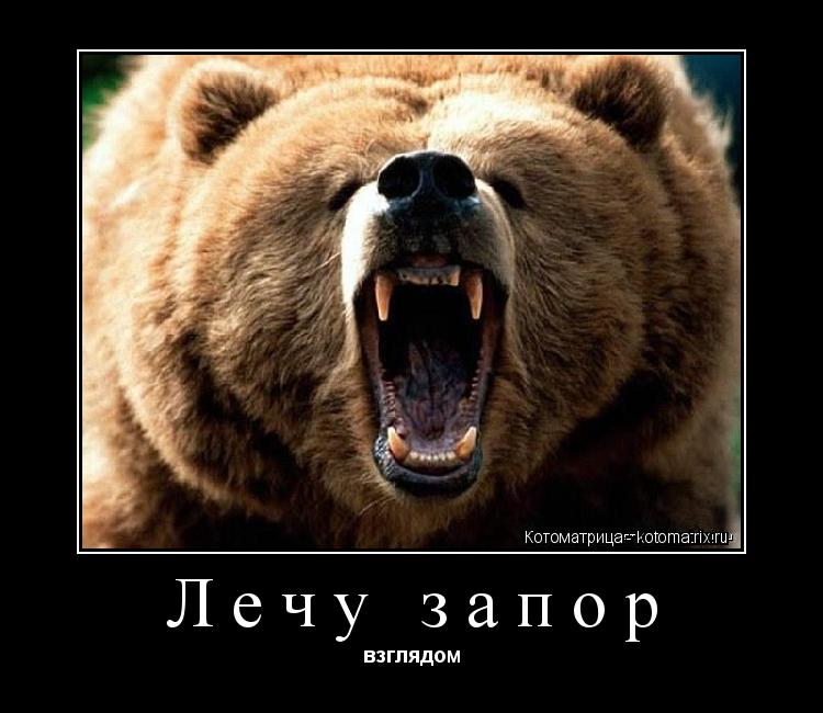 Лечу запор взглядом... Котоматрица: Лечу запор взглядом