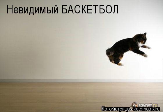 Невидимый БАСКЕТБОЛ... Котоматрица: Невидимый БАСКЕТБОЛ