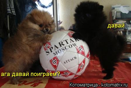 ага давай поиграем? давай... Котоматрица: ага давай поиграем? давай