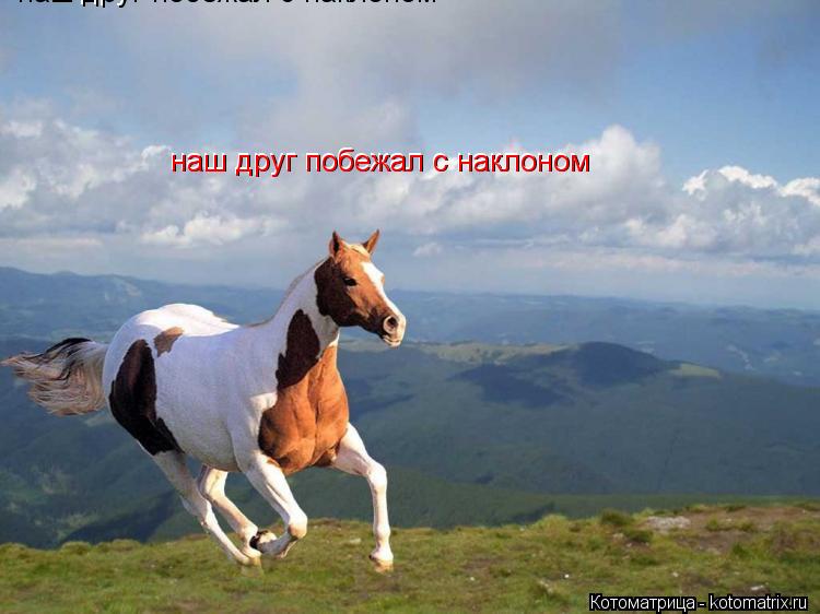 Котоматрица: наш друг побежал с наклоном наш друг побежал с наклоном наш друг побежал с наклоном