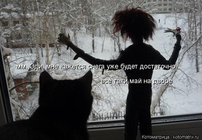 Котоматрица: мм..Эди, мне кажется снега уже будет достаточно.. все таки май на дворе