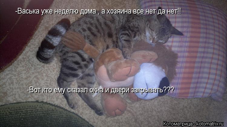 Котоматрица: -Васька уже неделю дома , а хозяина все нет да нет!! -Вот кто ему сказал окна и двери закрывать???