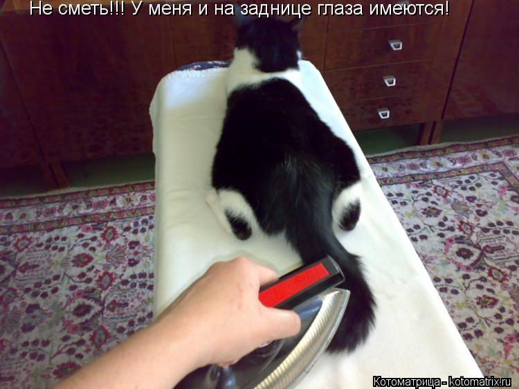 Котоматрица: Не сметь!!! У меня и на заднице глаза имеются!