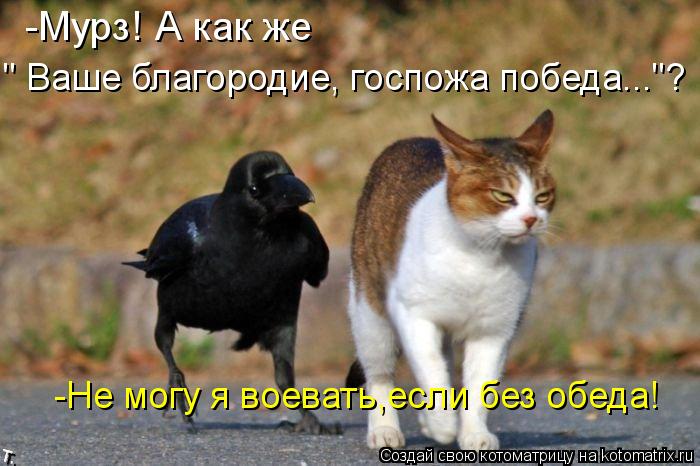 Котоматрица: -Мурз! А как же  " Ваше благородие, госпожа победа..."? -Не могу я воевать,если без обеда!