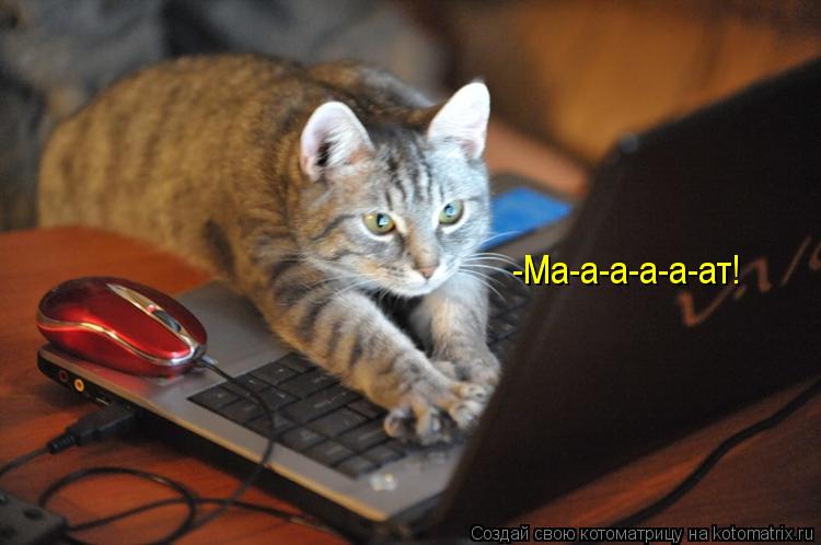 -Ма-а-а-а-а-ат!... Котоматрица: -Ма-а-а-а-а-ат!