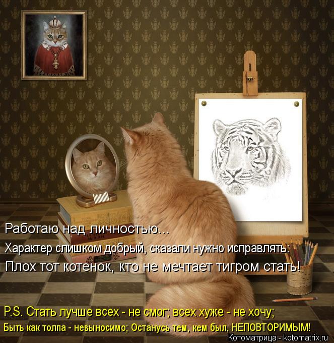 Котоматрица: Работаю над личностью…  Характер слишком добрый, сказали нужно исправлять: Плох тот котенок, кто не мечтает тигром стать! P.S. Стать лучше вс