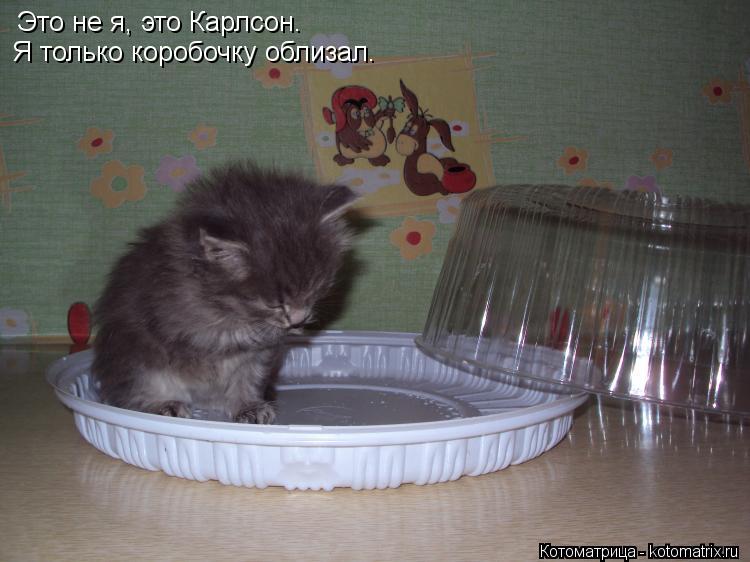 Котоматрица: Это не я, это Карлсон. Я только коробочку облизал.