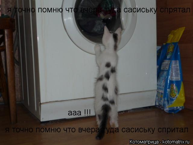 Котоматрица: я точно помню что вчера туда сасиську спритал я точно помню что вчера туда сасиську спрятал ааа !!!