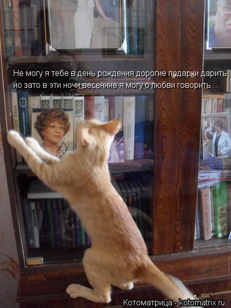 Котоматрица: Не могу я тебе в день рождения дорогие подарки дарить, но зато в эти ночи весенние я могу о любви говорить... но зато в эти ночи весенние я мог
