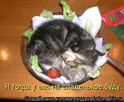 Котоматрица: Я тогда у вас на сладенькое буду...