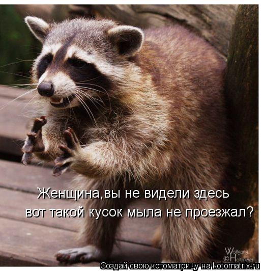 Женщина,вы не видели здесь вот такой кусок мыла не проезжал?... Котоматрица: Женщина,вы не видели здесь вот такой кусок мыла не проезжал?