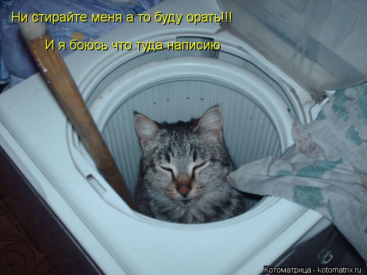 Котоматрица: Ни стирайте меня а то буду орать!!! И я боюсь что туда написию