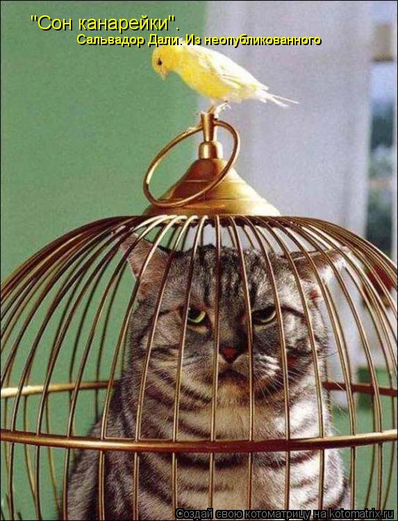 Котоматрица: "Сон канарейки". Сальвадор Дали. Из неопубликованного