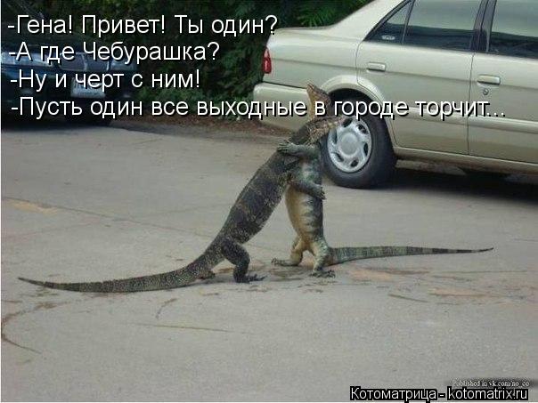 Котоматрица: -Гена! Привет! Ты один? -А где Чебурашка? -Ну и черт с ним!  -Пусть один все выходные в городе торчит...