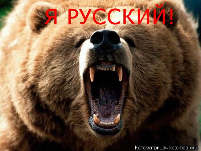 Котоматрица: Я РУССКИЙ!