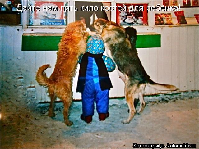 Котоматрица: Дайте нам пять кило костей для ребёнка!