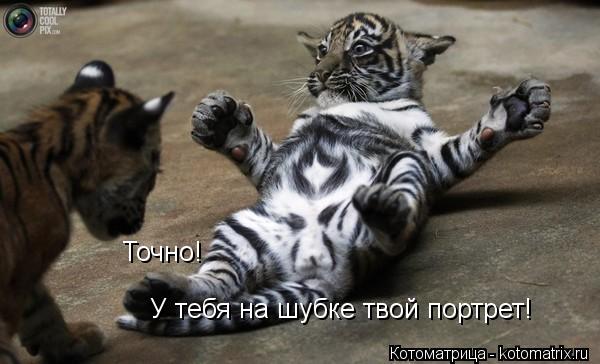 Точно! У тебя на шубке твой портрет!... Котоматрица: Точно! У тебя на шубке твой портрет!
