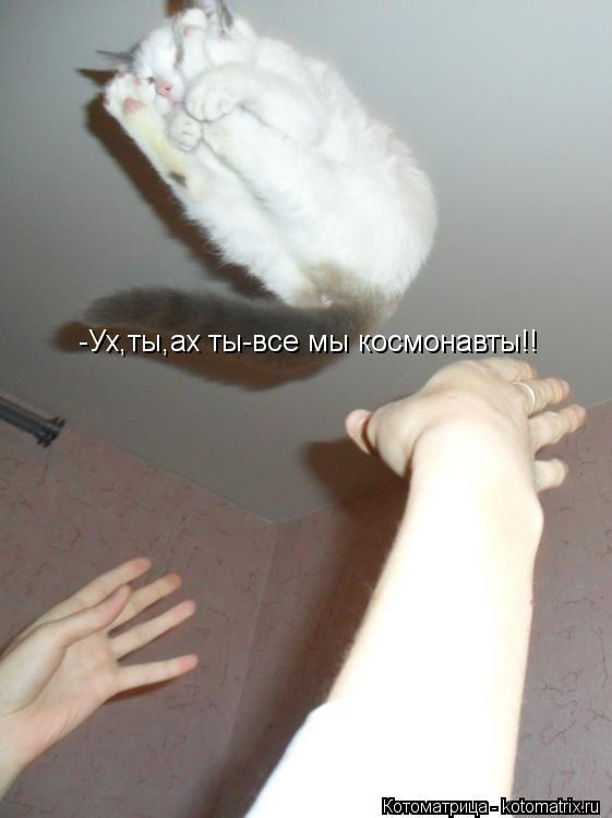 Котоматрица: -Ух,ты,ах ты-все мы космонавты!!