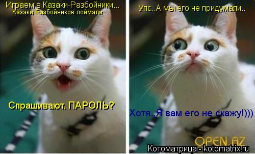 Котоматрица: Играем в Казаки-Разбойники... Казаки Разбойников поймали.. Спрашивают. ПАРОЛЬ? Упс..А мы его не придумали.. Хотя..Я вам его не скажу!)))
