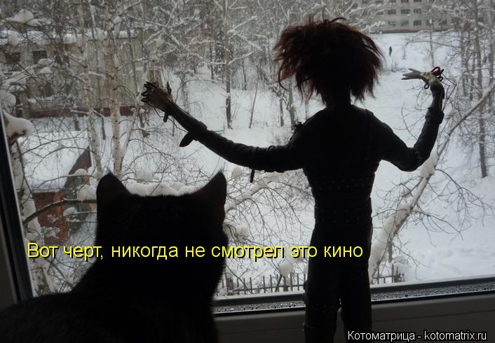 Котоматрица: Вот черт, никогда не смотрел это кино
