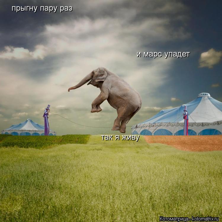 прыгну пару раз и марс упадет так я живу... Котоматрица: прыгну пару раз и марс упадет так я живу