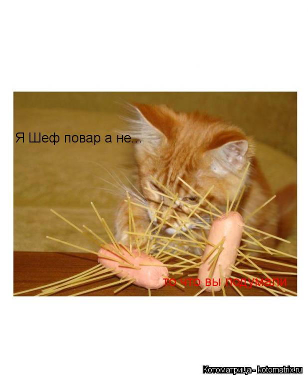 Я Шеф повар а не... то что вы подумали... Котоматрица: Я Шеф повар а не... то что вы подумали