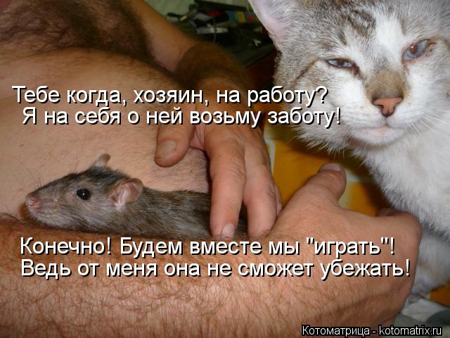 Котоматрица: Тебе когда, хозяин, на работу? Я на себя о ней возьму заботу! Конечно! Будем вместе мы "играть"! Ведь от меня она не сможет убежать!