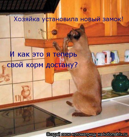 Котоматрица: И как это я теперь свой корм достану? Хозяйка установила новый замок!