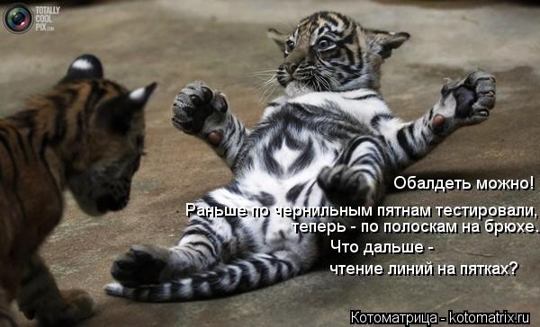 Котоматрица: Обалдеть можно! Раньше по чернильным пятнам тестировали, теперь - по полоскам на брюхе. Что дальше -  чтение линий на пятках?