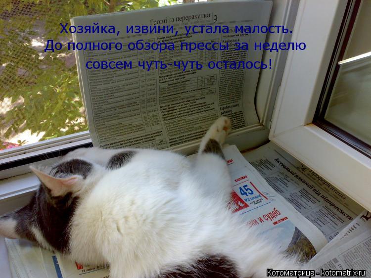 Котоматрица: Хозяйка, извини, устала малость. совсем чуть-чуть осталось! До полного обзора прессы за неделю