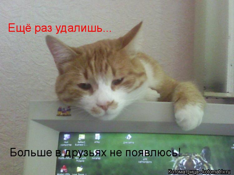 Котоматрица: Ещё раз удалишь... Больше в друзьях не появлюсь!