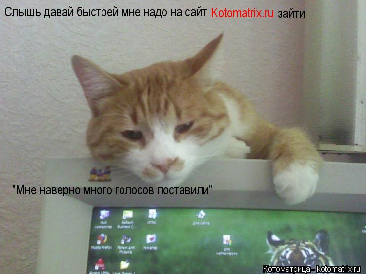 Котоматрица: Слышь давай быстрей мне надо на сайт  Kotomatrix.ru зайти "Мне наверно много голосов поставили"