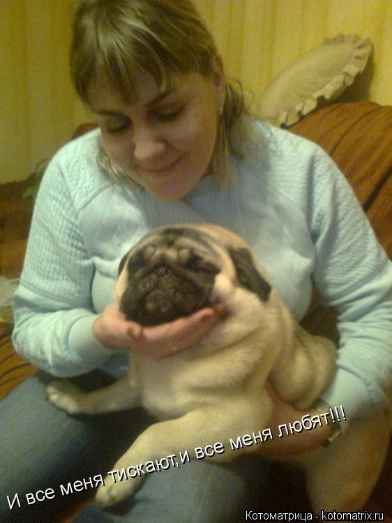 Котоматрица: И все меня тискают,и все меня любят!!!