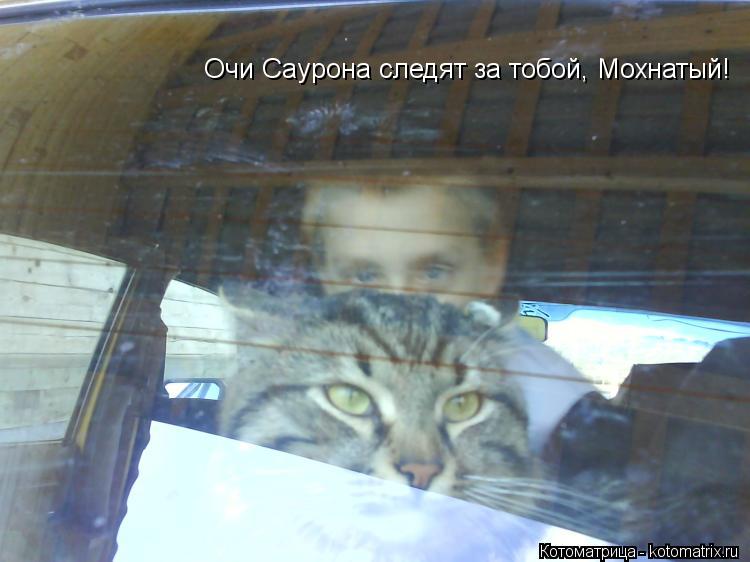 Котоматрица: Очи Саурона следят за тобой, Мохнатый!