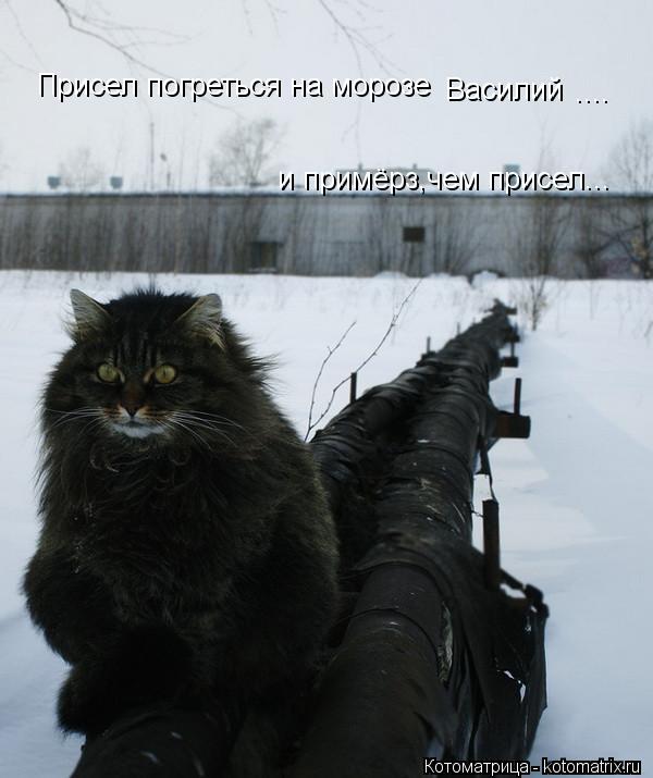 Котоматрица: Присел погреться на морозе и примёрз,чем присел... Василий ....