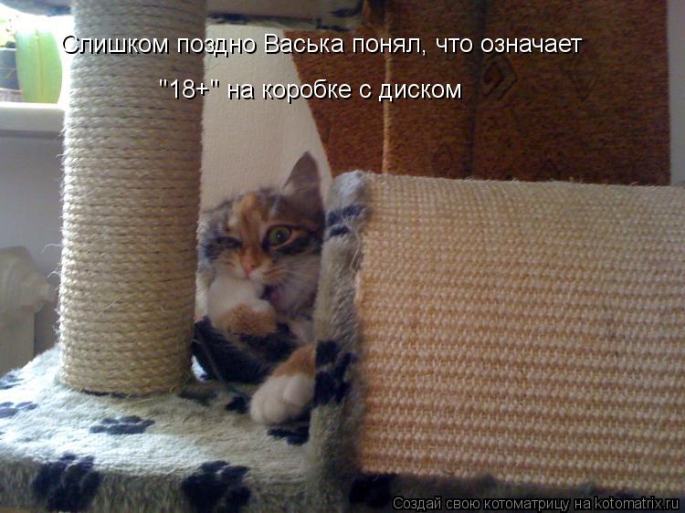 Котоматрица: Слишком поздно Васька понял, что означает "18+" на коробке с диском