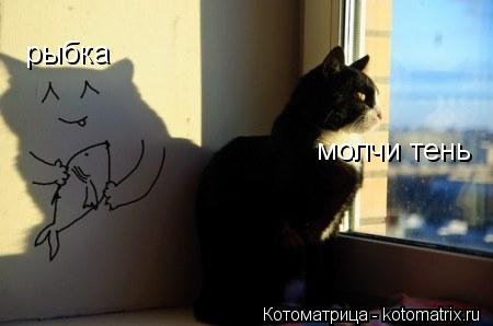 рыбка молчи тень... Котоматрица: рыбка молчи тень