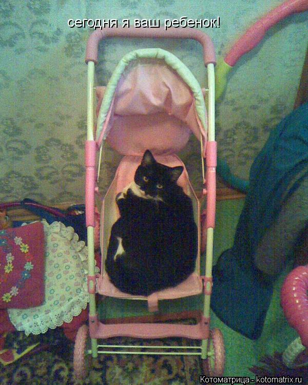 Котоматрица: сегодня я ваш ребенок!