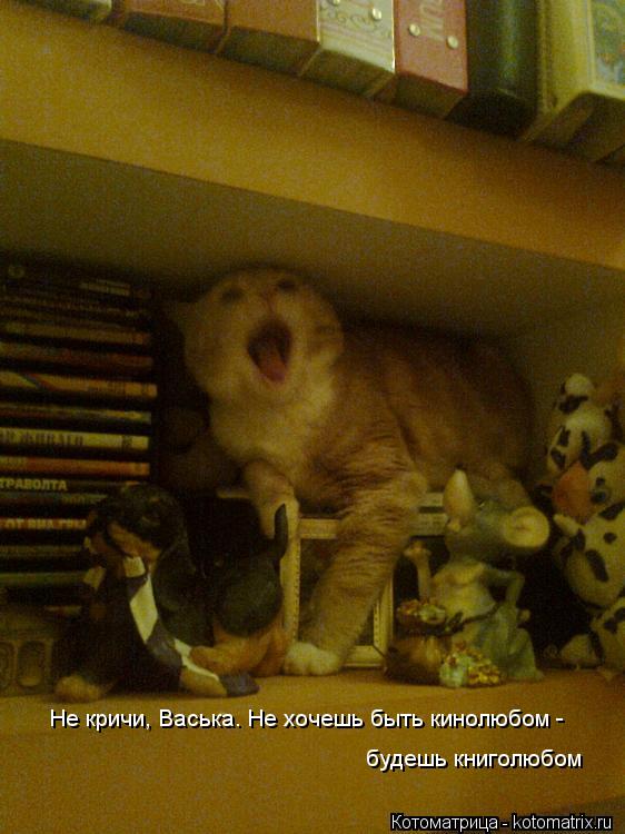 Котоматрица: Не кричи, Васька. Не хочешь быть кинолюбом -  будешь книголюбом